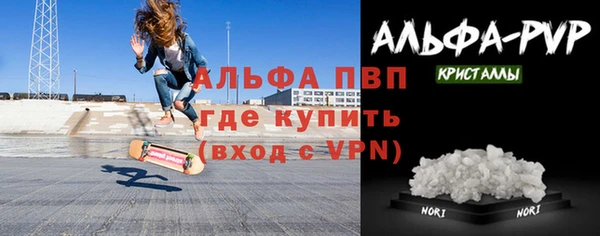 прущие грибы Нефтекумск