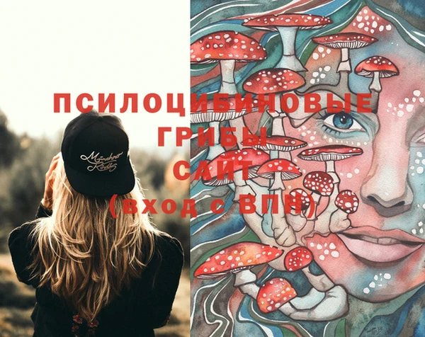 спиды Алзамай