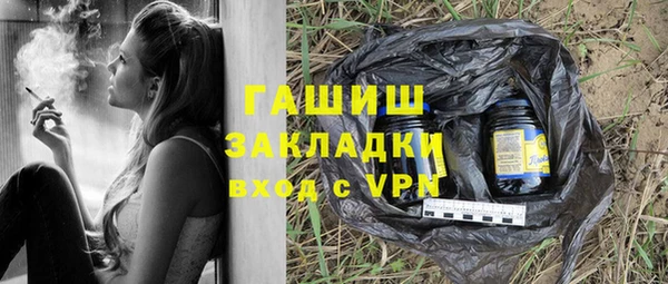 гашик Алексин