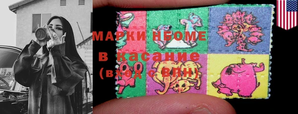 гашик Алексин